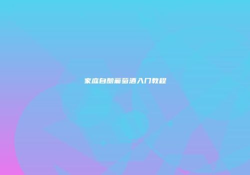 家庭自酿葡萄酒入门教程