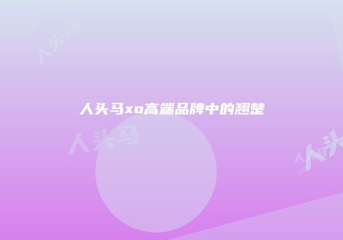 人头马xo高端品牌中的翘楚