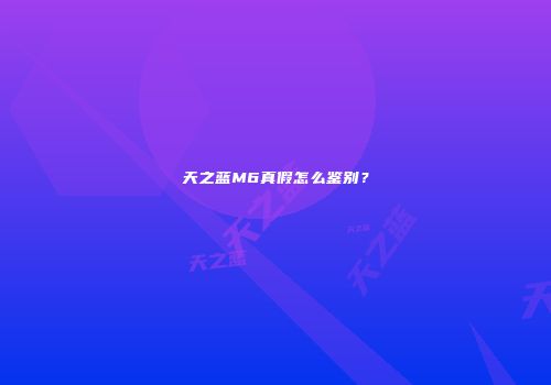 天之蓝M6真假怎么鉴别？