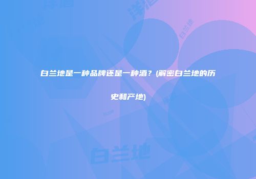 白兰地是一种品牌还是一种酒？(解密白兰地的历史和产地)