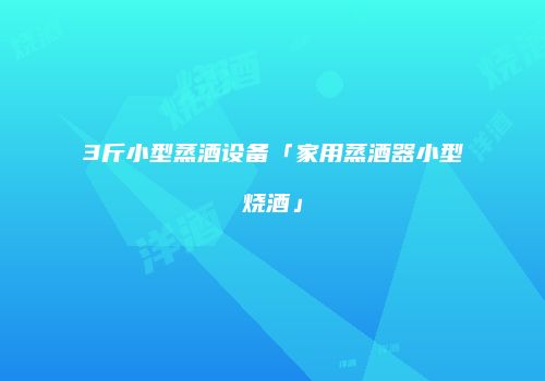 3斤小型蒸酒设备「家用蒸酒器小型烧酒」