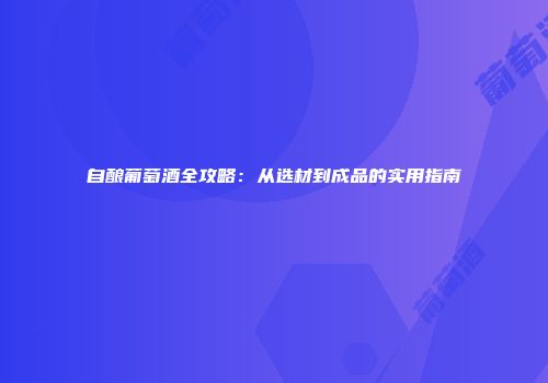 自酿葡萄酒全攻略：从选材到成品的实用指南