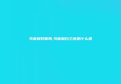 马爹利好喝吗,马爹利白兰地是什么酒