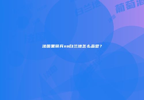 法国黑骑兵xo白兰地怎么品尝？