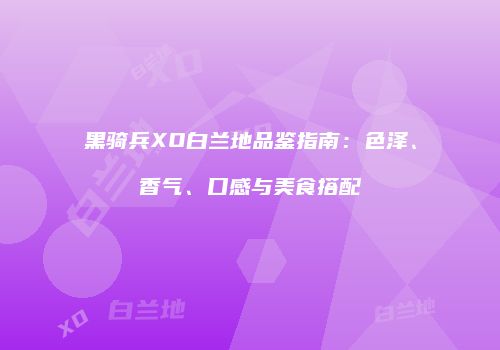 黑骑兵XO白兰地品鉴指南：色泽、香气、口感与美食搭配