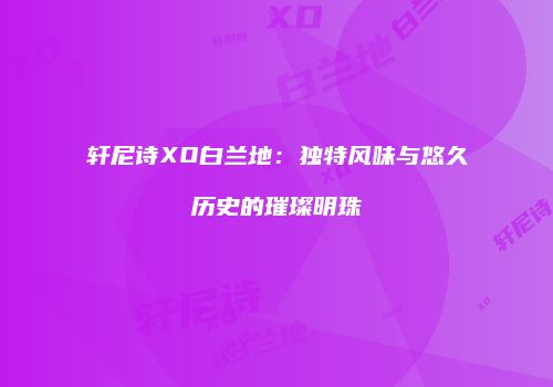 轩尼诗XO白兰地：独特风味与悠久历史的璀璨明珠