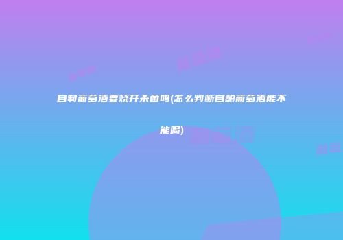 自制葡萄酒要烧开杀菌吗(怎么判断自酿葡萄酒能不能喝)
