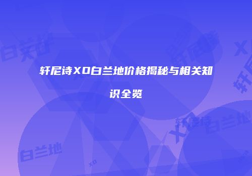 轩尼诗XO白兰地价格揭秘与相关知识全览