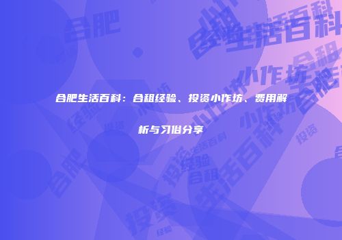 合肥生活百科：合租经验、投资小作坊、费用解析与习俗分享