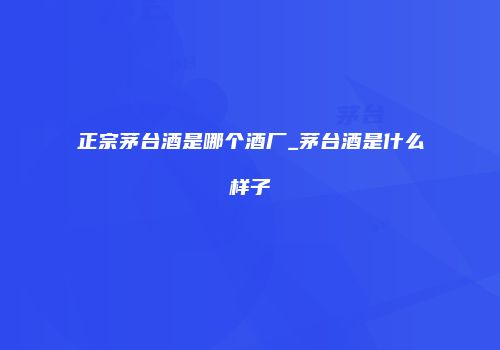 正宗茅台酒是哪个酒厂_茅台酒是什么样子