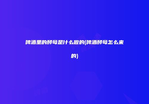 啤酒里的酵母是什么做的(啤酒酵母怎么来的)