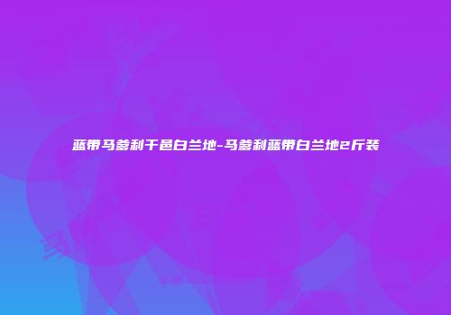 蓝带马爹利干邑白兰地-马爹利蓝带白兰地2斤装