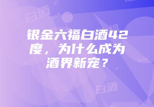银金六福白酒42度，为什么成为酒界新宠？