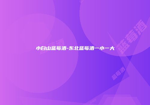 小白山蓝莓酒-东北蓝莓酒一小一大