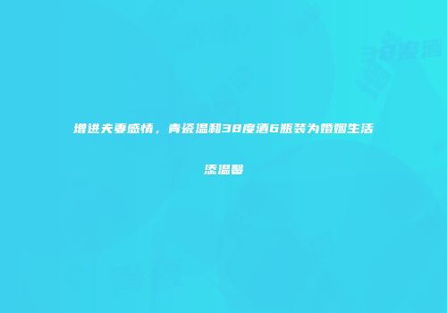 增进夫妻感情，青瓷温和38度酒6瓶装为婚姻生活添温馨