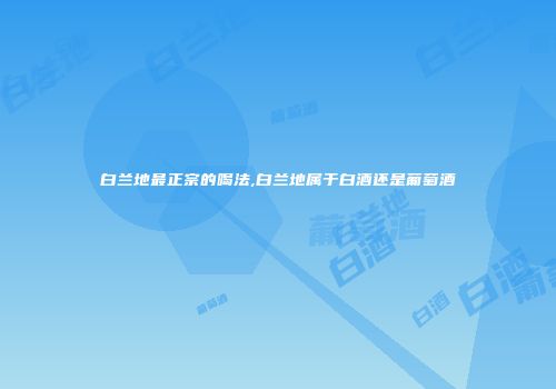 白兰地最正宗的喝法,白兰地属于白酒还是葡萄酒