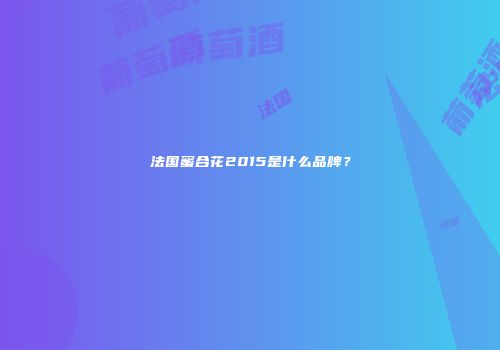 法国蜜合花2015是什么品牌？