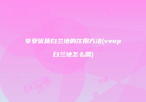 享受优质白兰地的饮用方法(vsop白兰地怎么喝)
