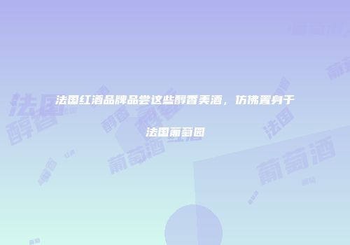 法国红酒品牌品尝这些醇香美酒，仿佛置身于法国葡萄园