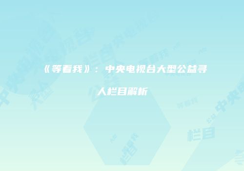 《等着我》：中央电视台大型公益寻人栏目解析