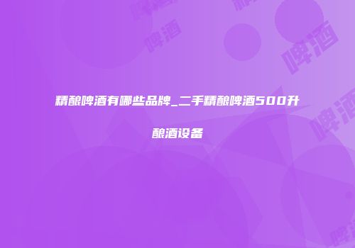 精酿啤酒有哪些品牌_二手精酿啤酒500升酿酒设备