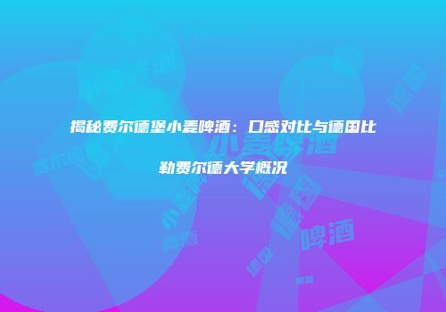 揭秘费尔德堡小麦啤酒：口感对比与德国比勒费尔德大学概况