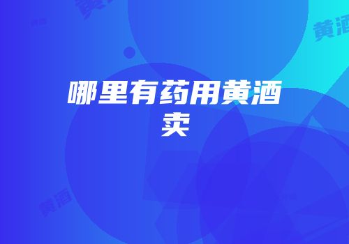 哪里有药用黄酒卖