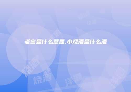 老窖是什么意思,小烧酒是什么酒
