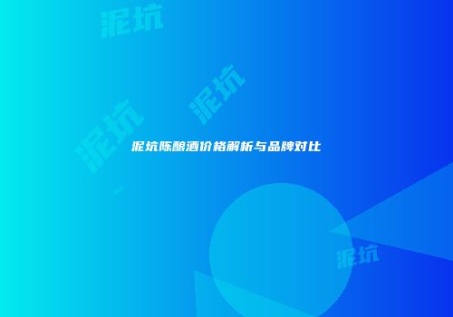 泥坑陈酿酒价格解析与品牌对比