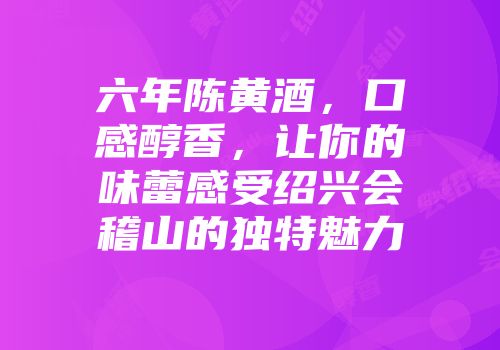 六年陈黄酒，口感醇香，让你的味蕾感受绍兴会稽山的独特魅力