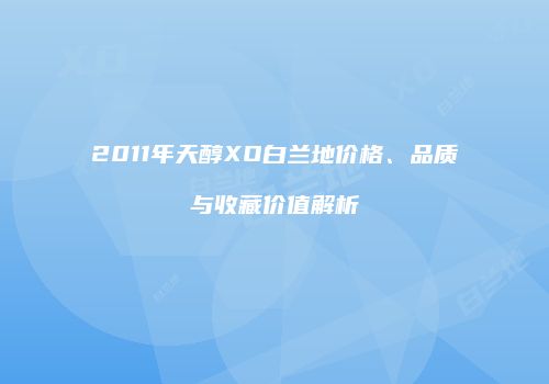 2011年天醇XO白兰地价格、品质与收藏价值解析