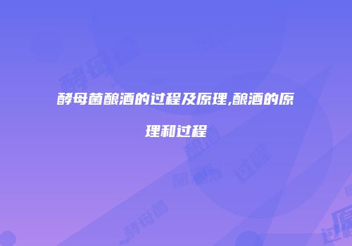 酵母菌酿酒的过程及原理,酿酒的原理和过程