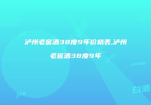泸州老窖酒38度9年价格表,泸州老窖酒38度9年