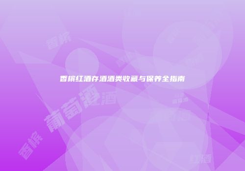 香槟红酒存酒酒类收藏与保养全指南