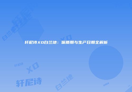 轩尼诗XO白兰地：保质期与生产日期全解析