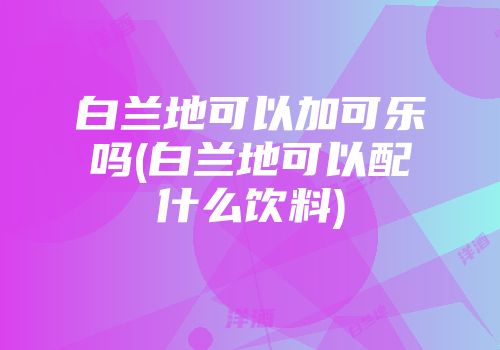 白兰地可以加可乐吗(白兰地可以配什么饮料)