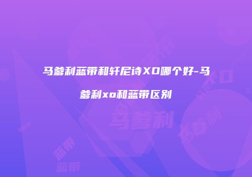 马爹利蓝带和轩尼诗XO哪个好-马爹利xo和蓝带区别