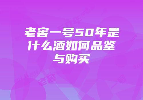 老窖一号50年是什么酒如何品鉴与购买