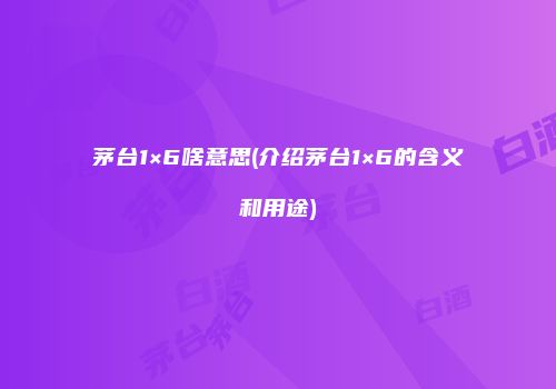 茅台1×6啥意思(介绍茅台1×6的含义和用途)