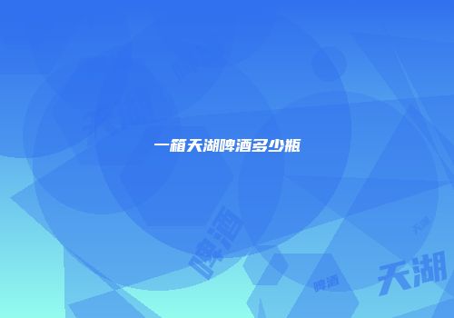 一箱天湖啤酒多少瓶