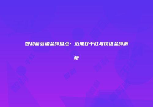 智利葡萄酒品牌盘点：迈坡谷干红与顶级品牌解析