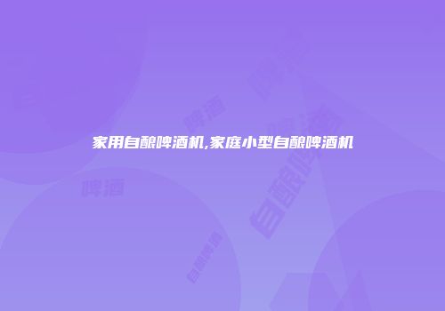 家用自酿啤酒机,家庭小型自酿啤酒机