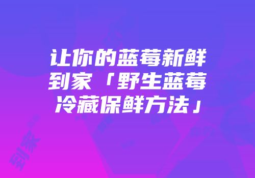 让你的蓝莓新鲜到家「野生蓝莓冷藏保鲜方法」
