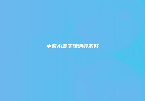 中普小麦王啤酒好不好