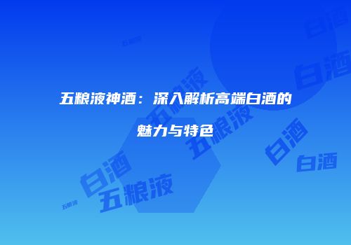 五粮液神酒：深入解析高端白酒的魅力与特色