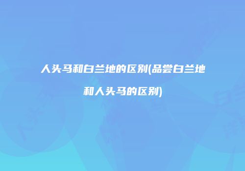 人头马和白兰地的区别(品尝白兰地和人头马的区别)