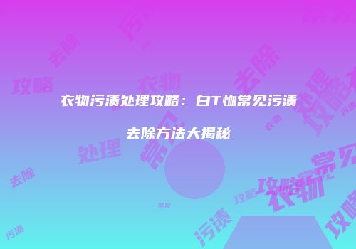 衣物污渍处理攻略：白T恤常见污渍去除方法大揭秘