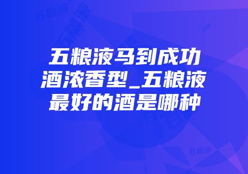 五粮液马到成功酒浓香型_五粮液最好的酒是哪种