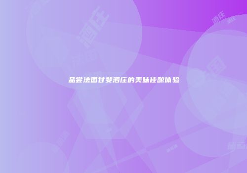 品尝法国甘斐酒庄的美味佳酿体验