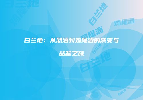 白兰地：从烈酒到鸡尾酒的演变与品鉴之旅
